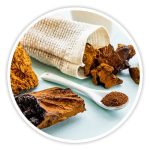 Chaga Mushroom