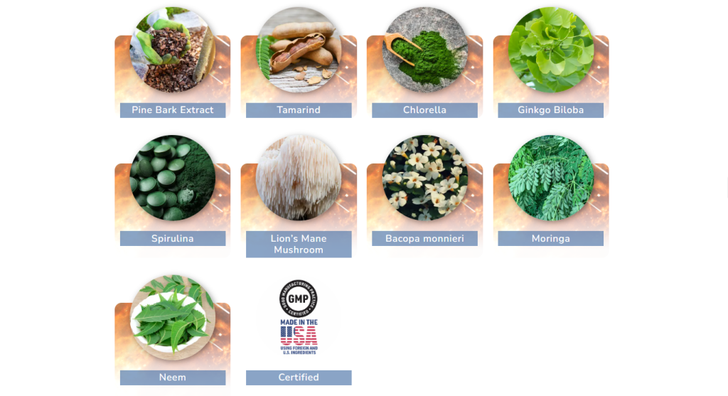JointVive Ingredients