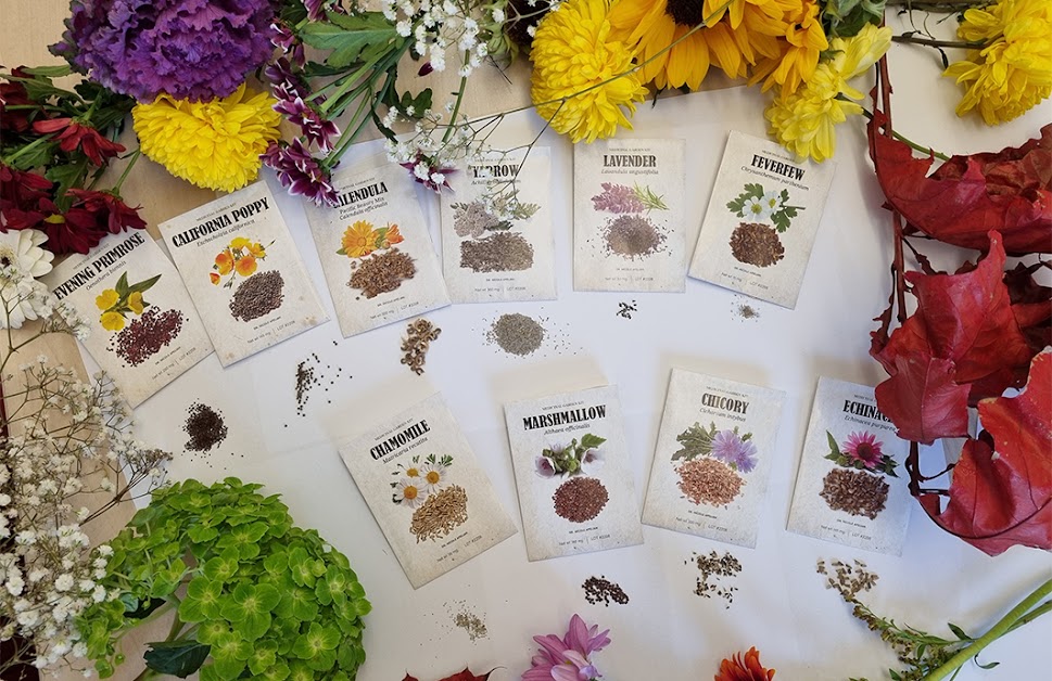 Medicinal Garden Kit Inside 