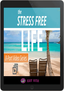 Bonus #3: Stress Free Life (Video Course)