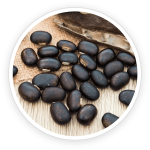 Mucuna Pruriens 