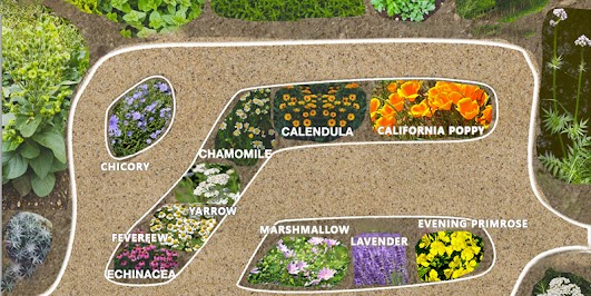 Planting type