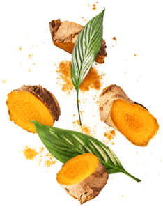 50+ Fruits, Vegetables, Herbs & Spices